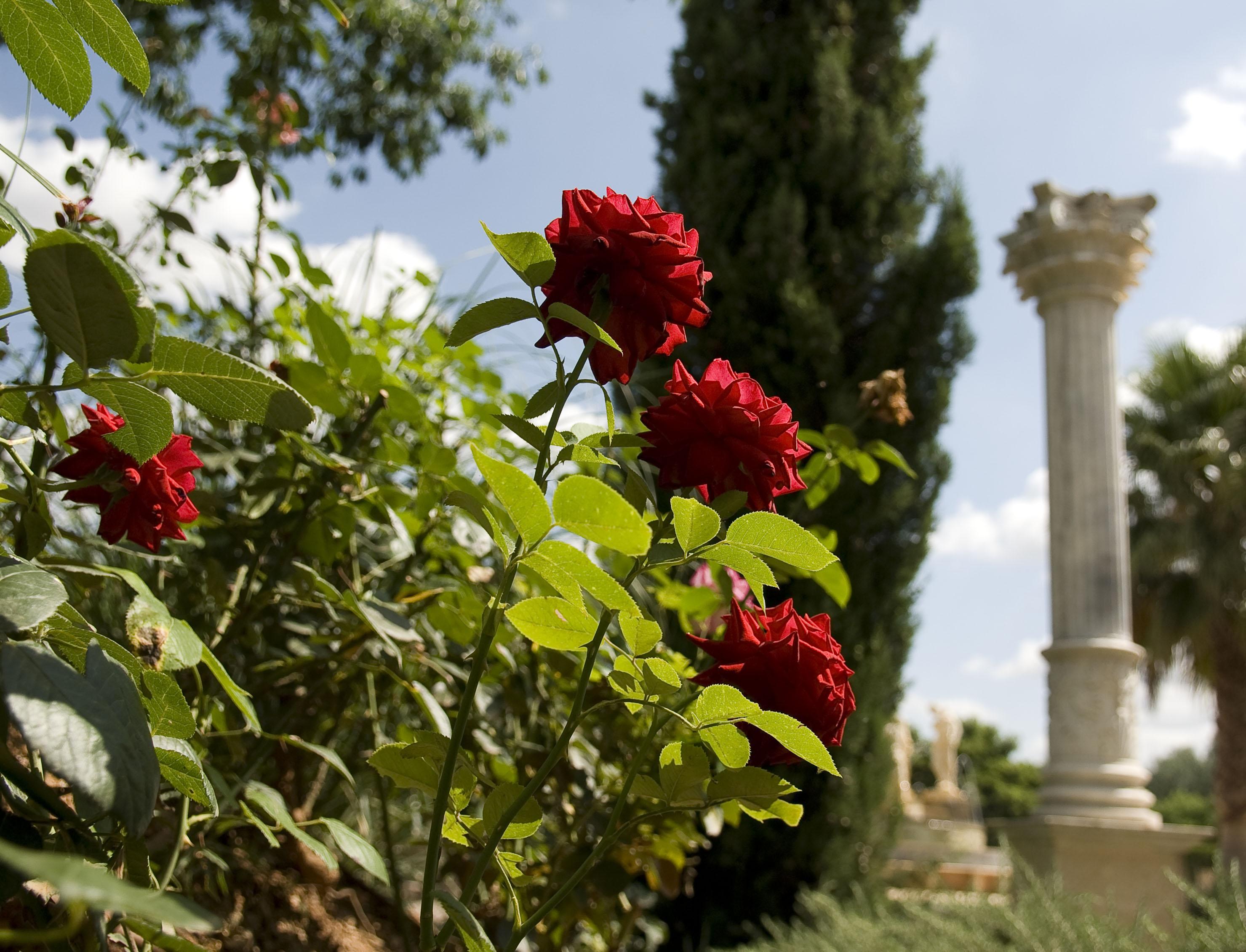 Estada en una granja Es Revellar Art - Adults Only Campos (Mallorca)